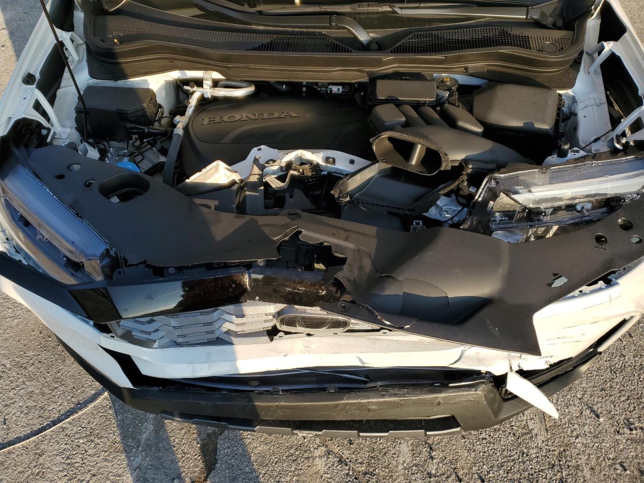 2024 HONDA RIDGELINE TRAIL SPORT VIN:5FPYK3F65RB023614