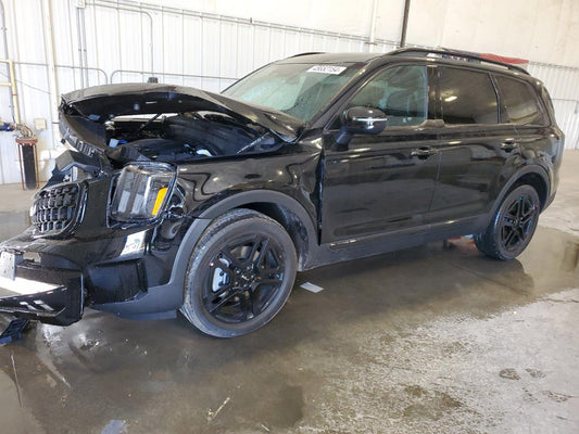 2024 KIA TELLURIDE EX VIN:5XYP3DGC6RG475561
