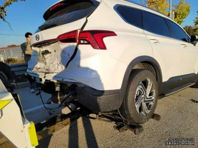 2021 Hyundai Santa FE KMHS381HGMU399703 VIN:KMHS381HGMU399703