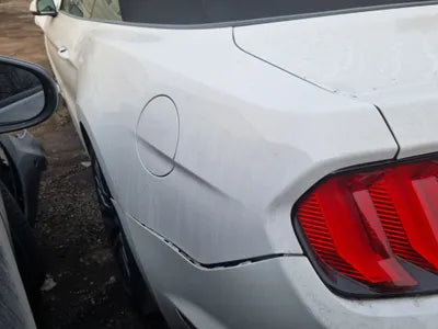 2019 Ford Mustang GT VIN: