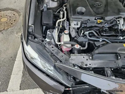 2019 Toyota Camry JTNB21HK6K3018613 VIN:JTNB21HK6K3018613