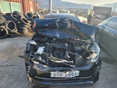 2017 Kia K5 KNAGX415GHA170830 VIN:KNAGX415GHA170830