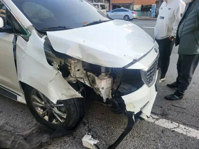 2019 Kia Carnival KNAMB81ABKS601953 VIN:KNAMB81ABKS601953