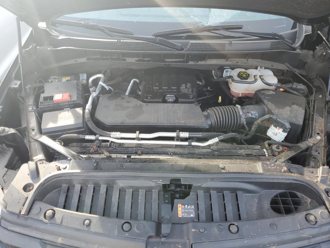 2023 CHEVROLET SILVERADO C1500 CUSTOM VIN:3GCPABEK5PG225232