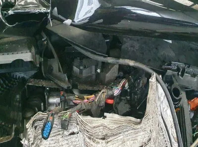 2021 Kia Sorento KNARH81GBMA026218 VIN:KNARH81GBMA026218