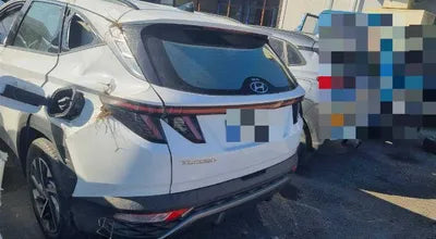 2021 Hyundai Tucson KMHJE811BMU009800 VIN:KMHJE811BMU009800