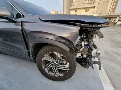 2021 Hyundai Santa FE KMHS381LGMU412456 VIN:KMHS381LGMU412456