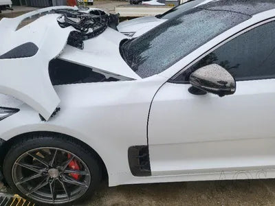 2021 Kia Stinger KNAE551CBNS115060 VIN:KNAE551CBNS115060