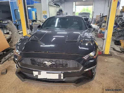 2019 Ford Mustang VIN: