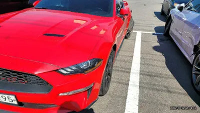 2020 Ford Mustang 1FA6P8TH4L5128874 VIN:1FA6P8TH4L5128874