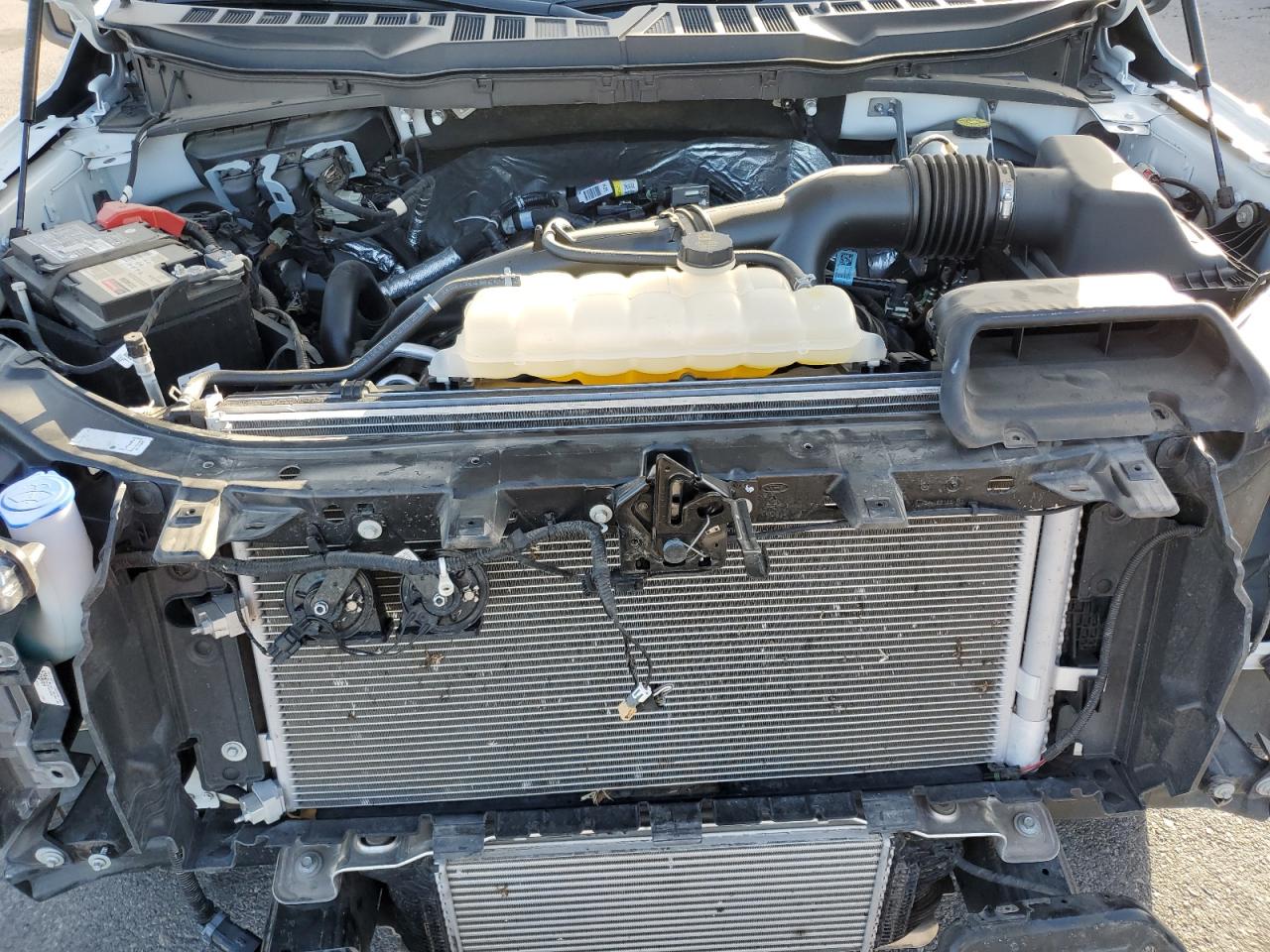 2023 FORD F150 SUPER CAB VIN:1FTEX1CP9PKD48247