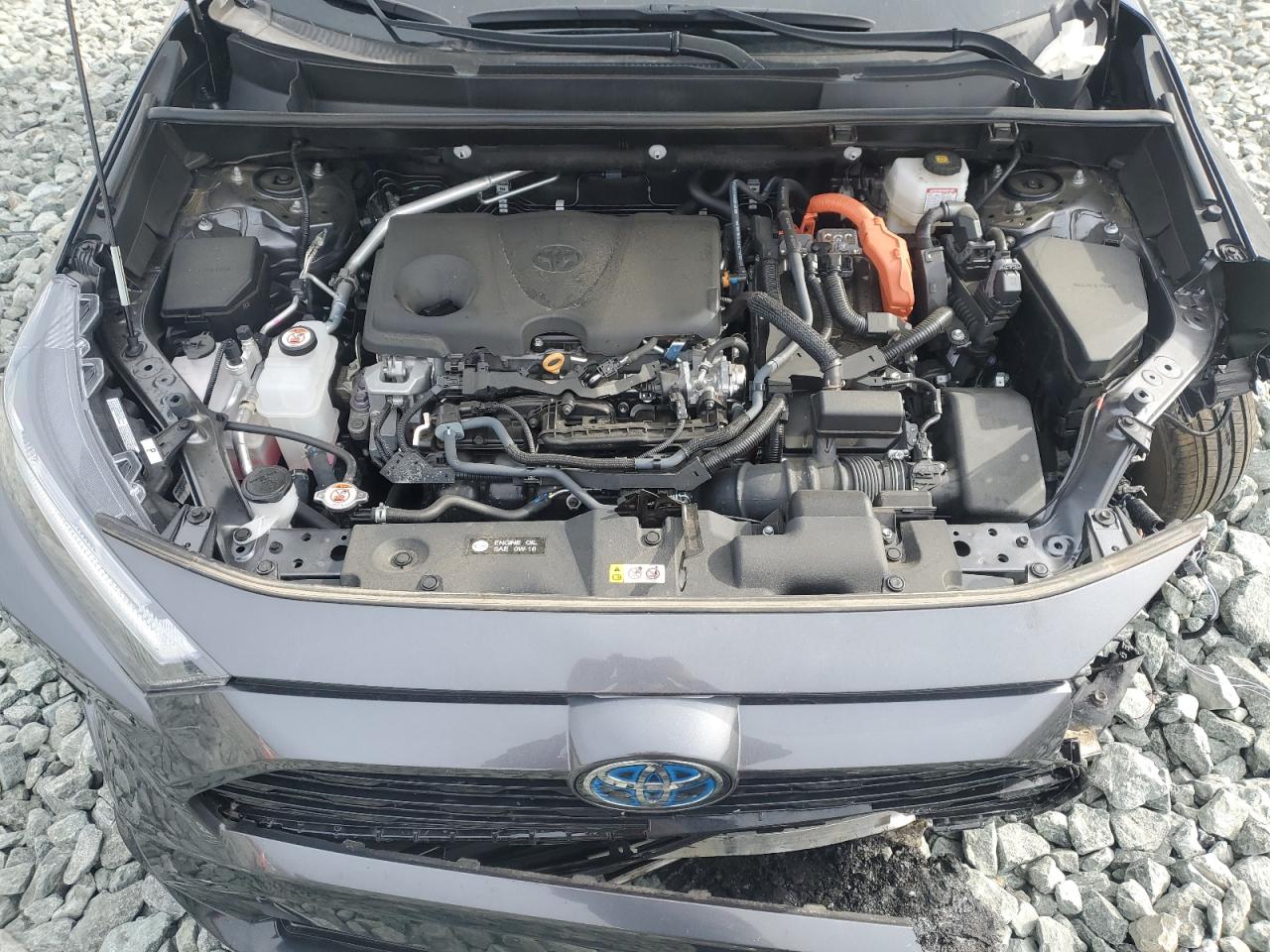 2023 TOYOTA RAV4 SE VIN:4T3T6RFVXPU132708