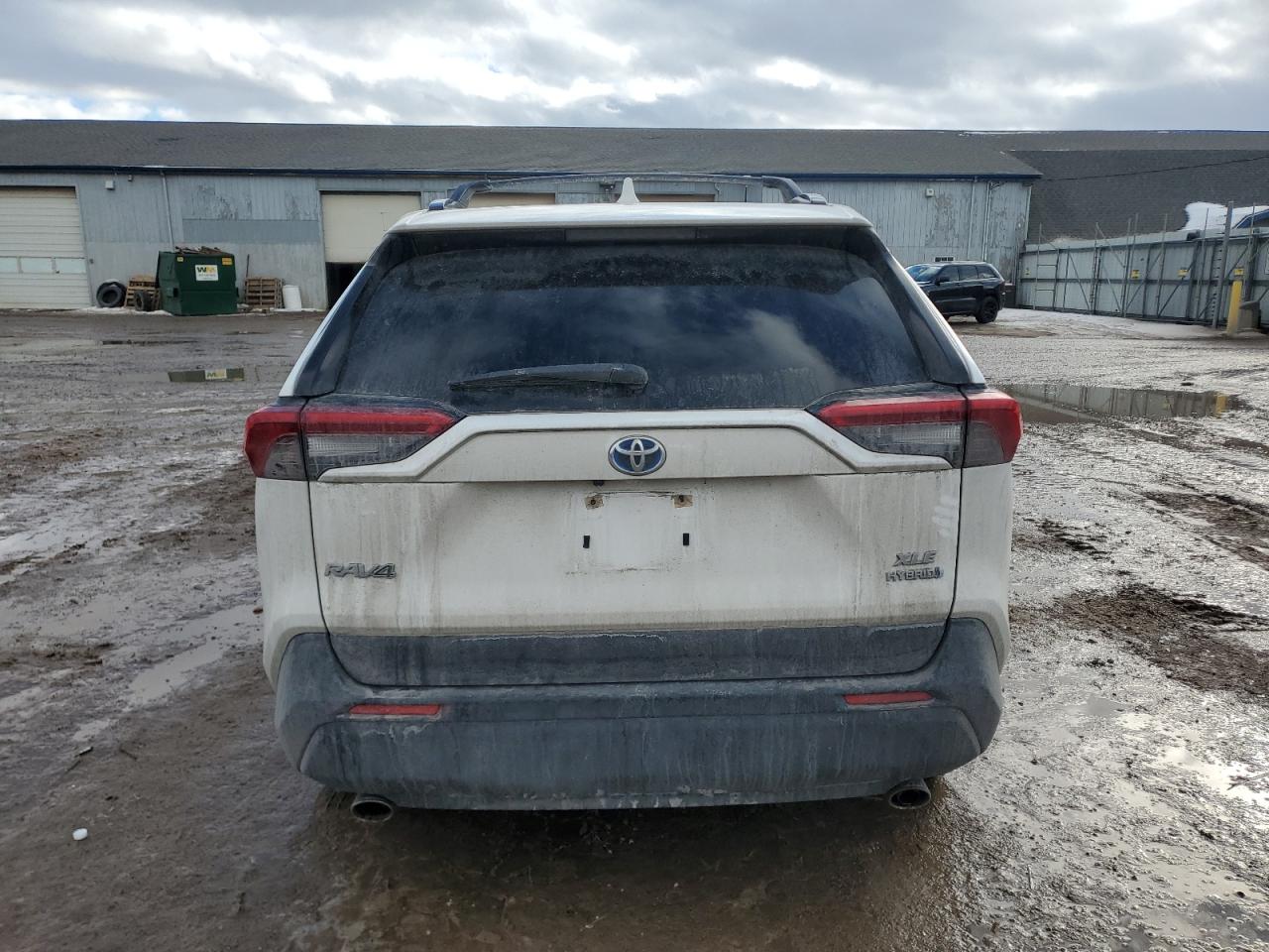 2023 TOYOTA RAV4 XLE VIN:JTMRWRFV4PD184228
