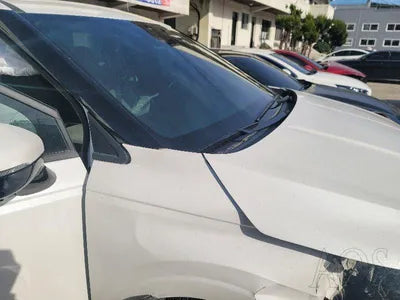 2021 Kia Carnival KNANE81BBMS068076 VIN:KNANE81BBMS068076