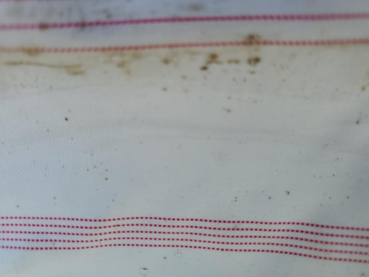 2022 SUBARU WRX PREMIUM VIN:JF1VBAF66N9022269