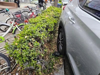 2016 Hyundai Tucson KMHJ381ABGU001620 VIN:KMHJ381ABGU001620