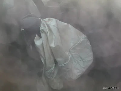 2020 Mercedes-Benz E 220 VIN: