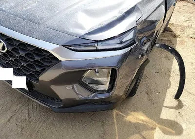 2019 Hyundai Santa FE KMHS281BBKU176591 VIN:KMHS281BBKU176591