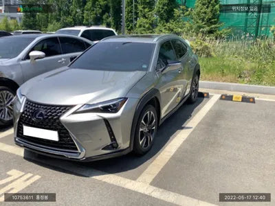 2019 Lexus UX 250 JTHU9JBH6K2014202 VIN:JTHU9JBH6K2014202