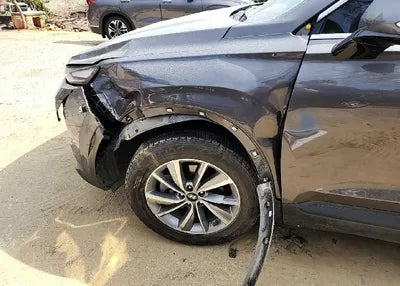 2019 Hyundai Santa FE KMHS281BBKU176591 VIN:KMHS281BBKU176591