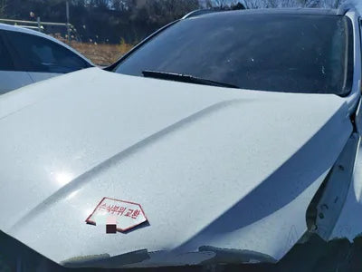 2019 Hyundai Santa FE KMHS281BBKU161615 VIN:KMHS281BBKU161615