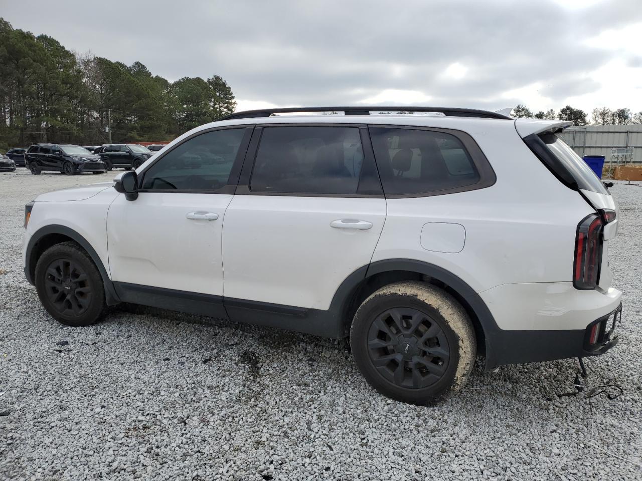 2024 KIA TELLURIDE SX VIN:5XYP5DGC7RG420949