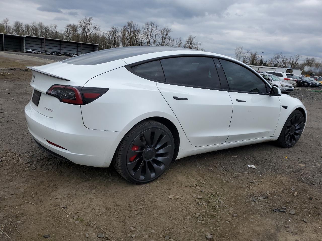 2023 TESLA MODEL 3  VIN:5YJ3E1EC9PF507353