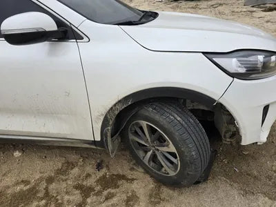 2019 Kia Sorento KNAPG81BDKA540068 VIN:KNAPG81BDKA540068