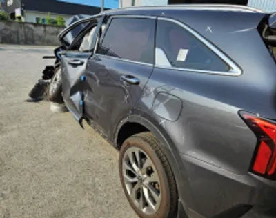 2021 Kia Sorento KNARL81BGMA078047 VIN:KNARL81BGMA078047