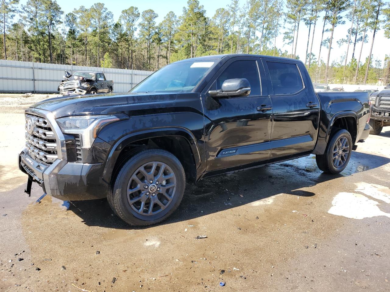 2023 TOYOTA TUNDRA CREWMAX PLATINUM VIN:5TFNA5AB3PX019675