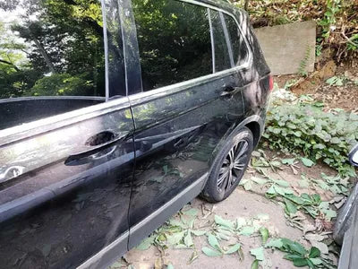 2019 Volkswagen Tiguan VIN: