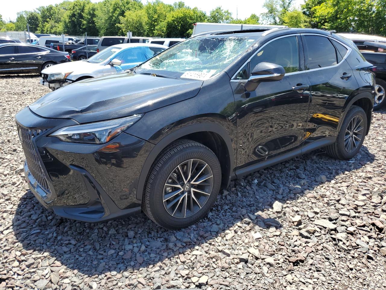 2024 LEXUS NX 350 BASE VIN:2T2AGCEZ7RC040826