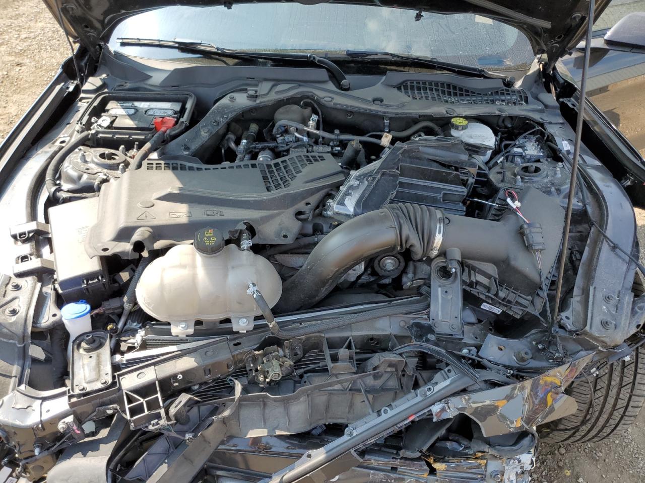 2023 FORD MUSTANG  VIN:1FA6P8TH5P5112589