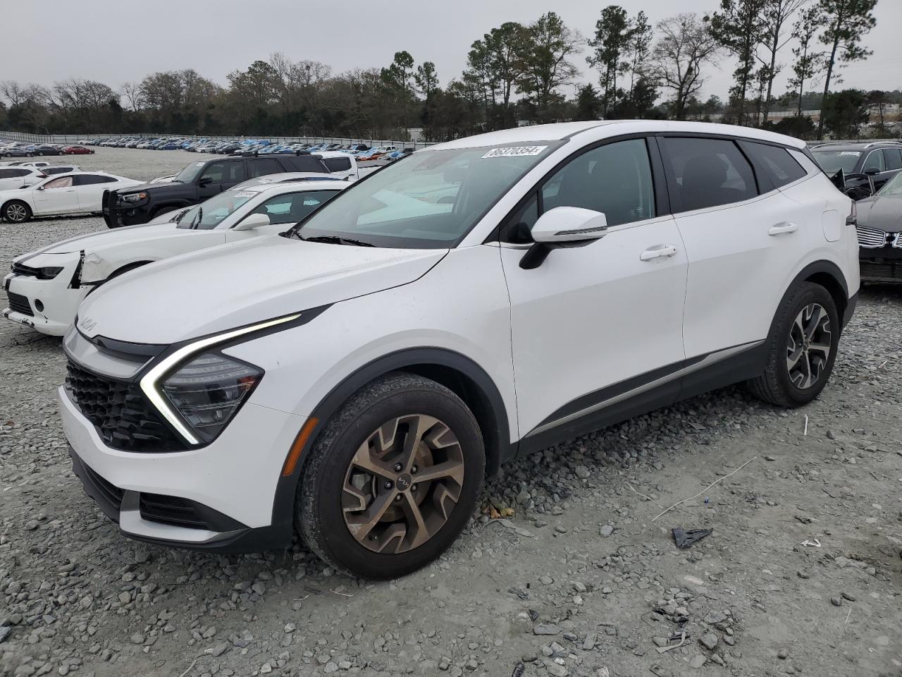 2024 KIA SPORTAGE EX VIN:5XYK33DFXRG209866