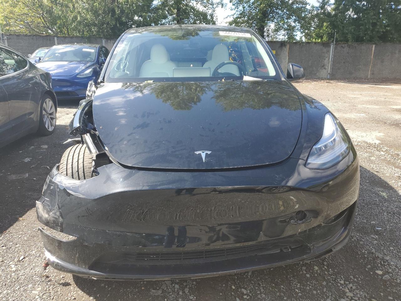 2023 TESLA MODEL Y  VIN:7SAYGDEE8PA098152