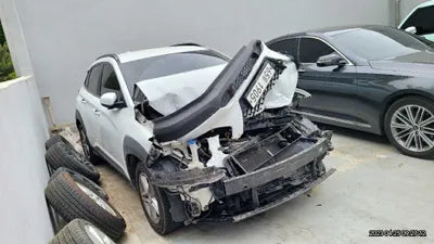 2019 Hyundai Kona KMHK4815GKU421459 VIN:KMHK4815GKU421459