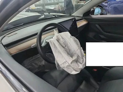 2020 Tesla Model 3 5YJ3E1EB6LF585137 VIN:5YJ3E1EB6LF585137