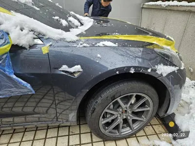 2020 Tesla Model 3 5YJ3E1EB7LF725423 VIN:5YJ3E1EB7LF725423