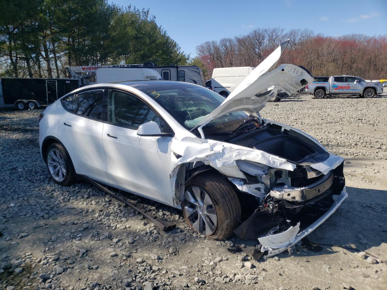 2023 TESLA MODEL Y  VIN:7SAYGDEE1PA073707