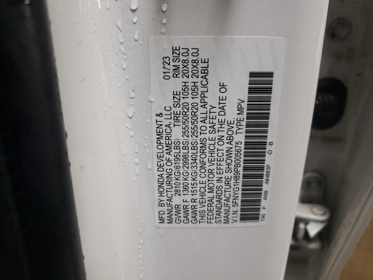 2023 HONDA PILOT ELITE VIN:5FNYG1H89PB005675