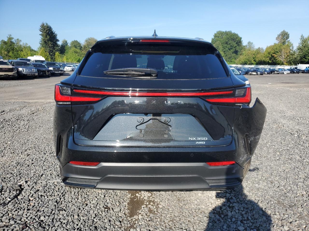 2024 LEXUS NX 350 LUXURY VIN:JTJHGCEZ7R5008942