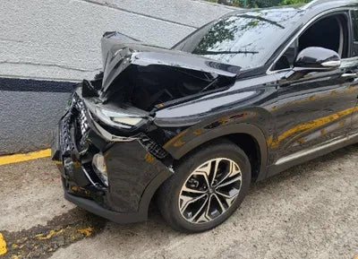 2019 Hyundai Santa FE KMHS381BBKU103988 VIN:KMHS381BBKU103988