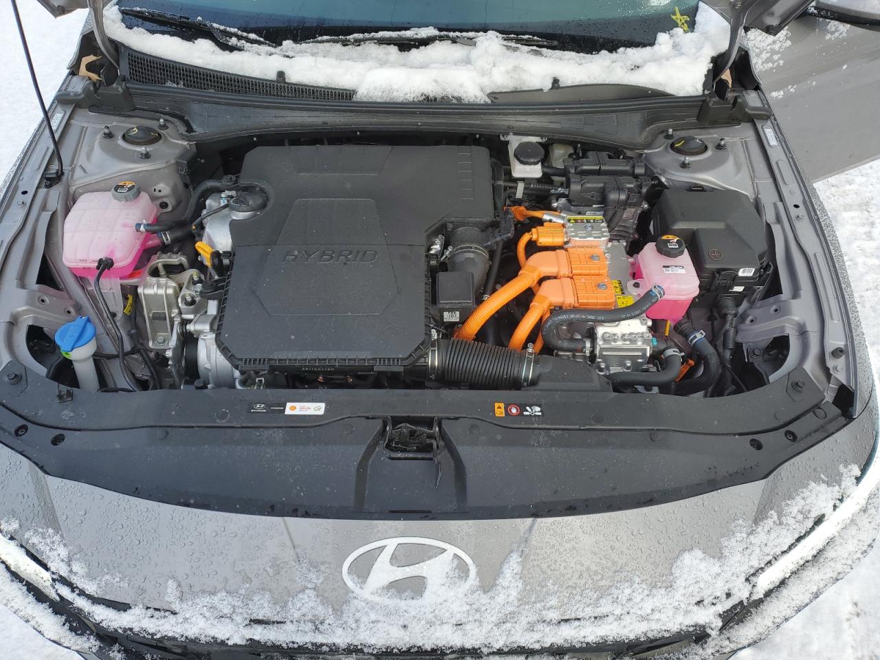 2024 HYUNDAI ELANTRA BLUE VIN:KMHLM4DJ6RU114386