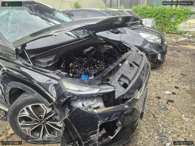 2019 Hyundai Santa FE KMHS381BBKU142921 VIN:KMHS381BBKU142921