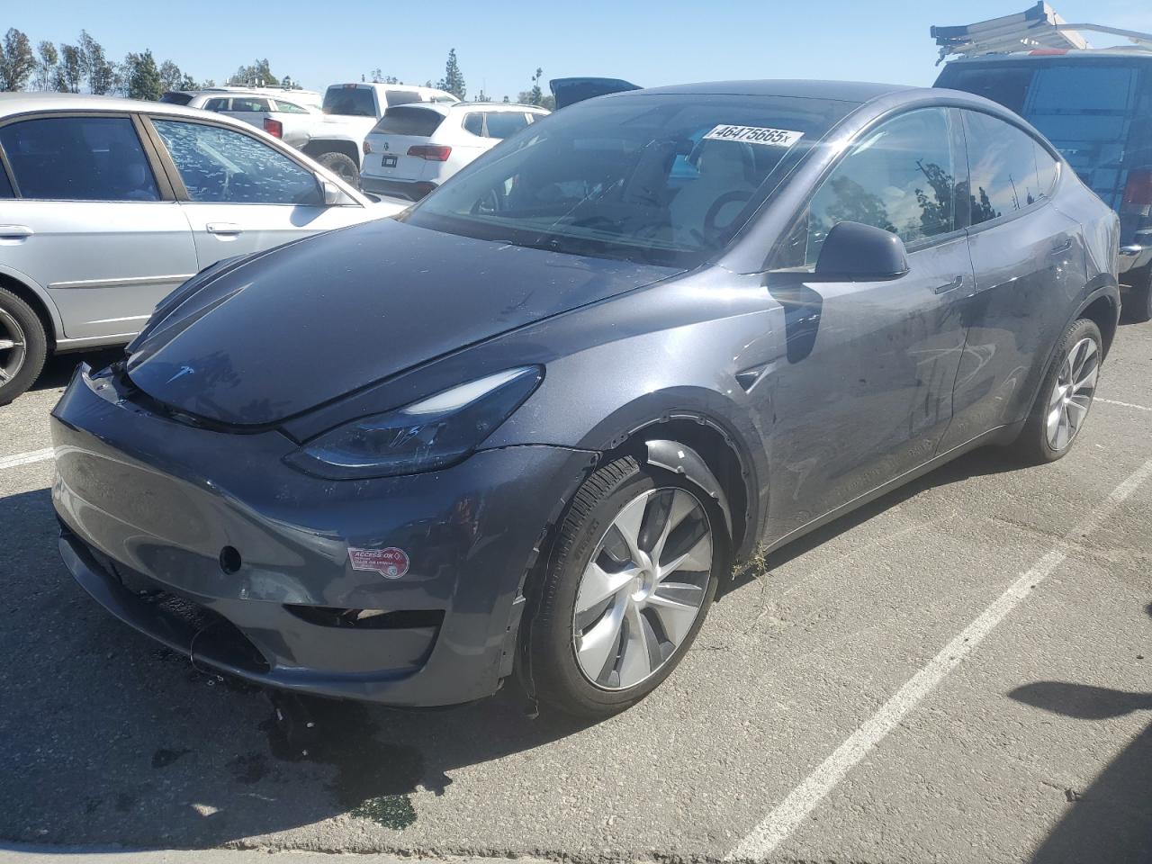 2023 TESLA MODEL Y  VIN:7SAYGDEE0PA177797
