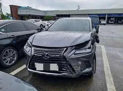 2019 Lexus NX 300 JTJBJRBZ8K2118503 VIN:JTJBJRBZ8K2118503