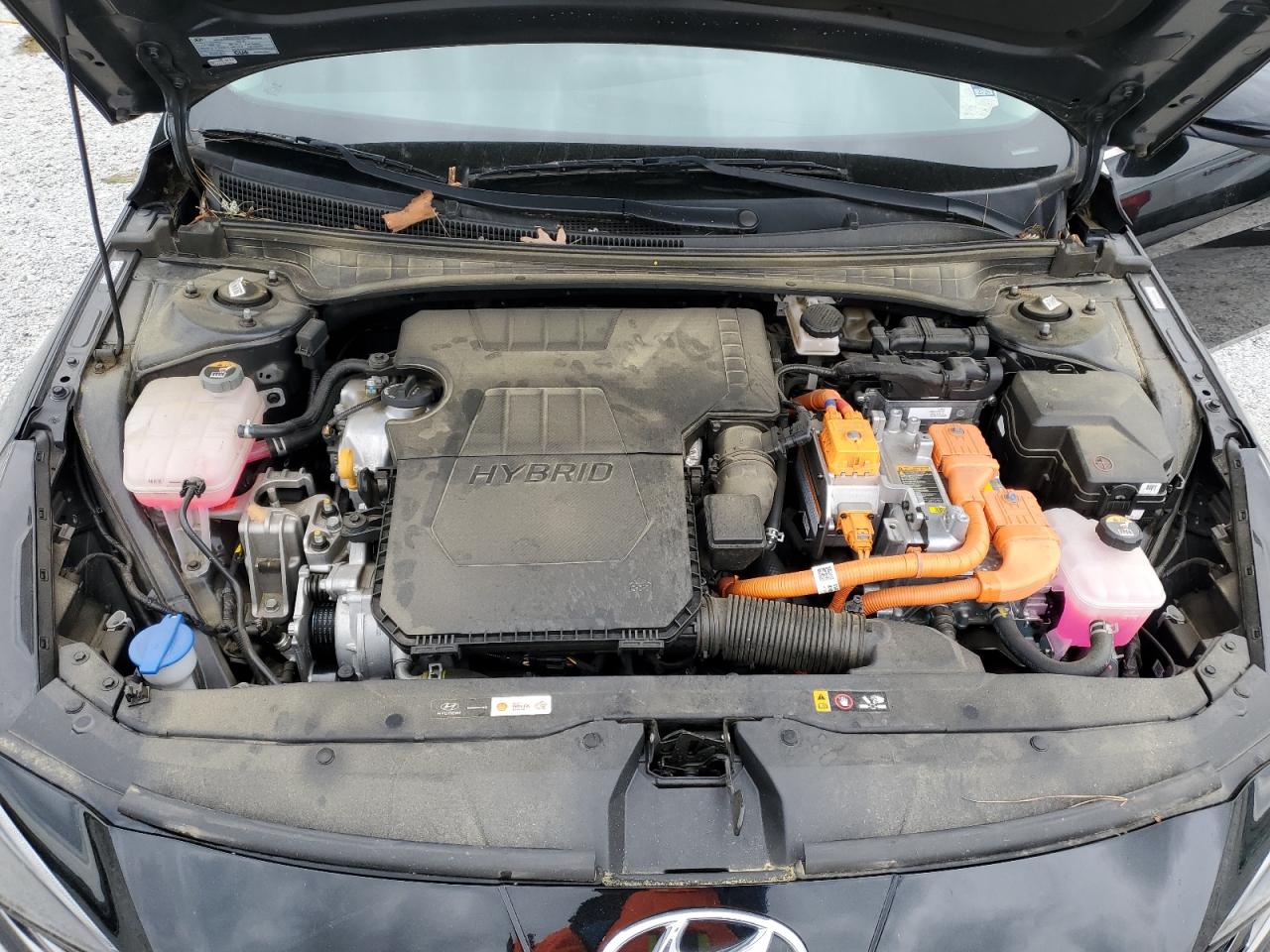 2022 HYUNDAI ELANTRA LIMITED VIN:KMHLN4AJ8NU015418