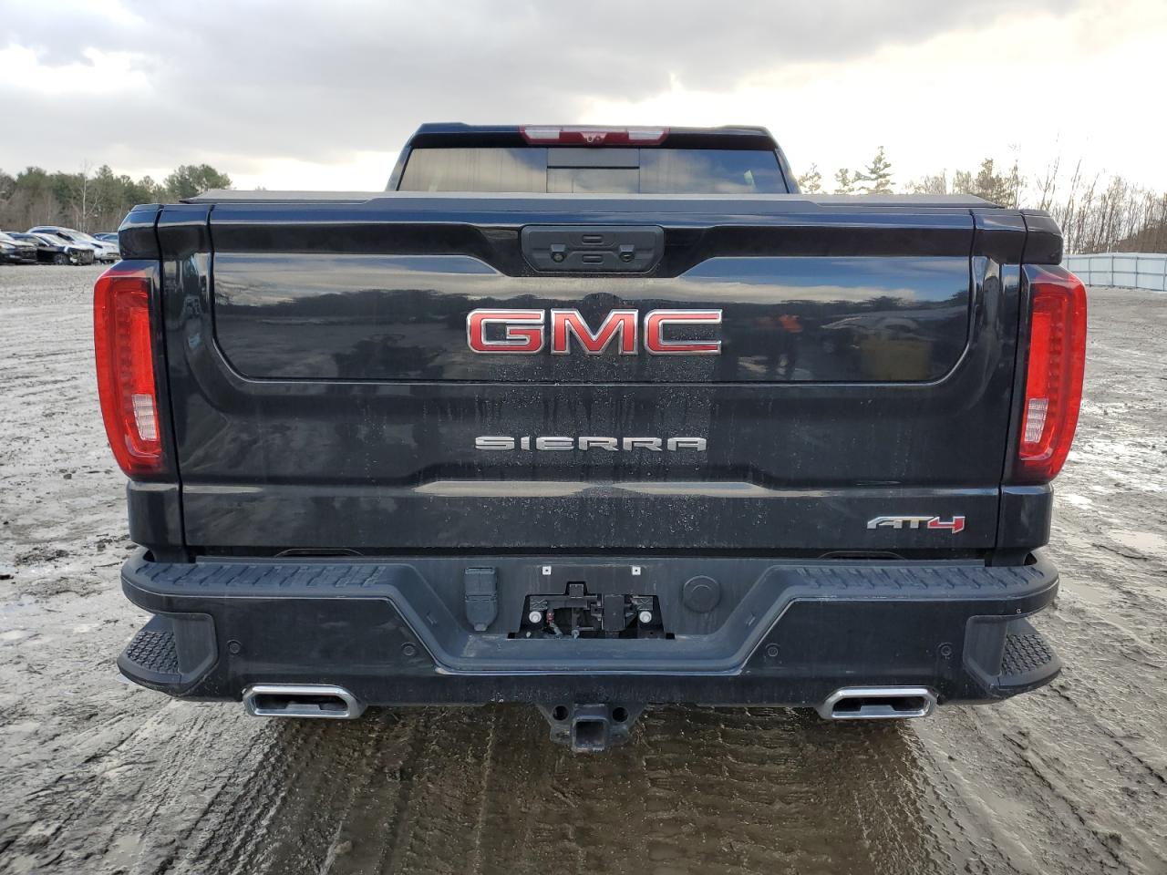 2023 GMC SIERRA K1500 AT4 VIN:1GTUUEE88PZ120619