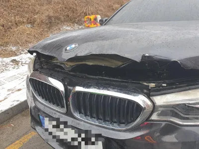 2020 BMW 530 WBAJR5105LWW73970 VIN:WBAJR5105LWW73970