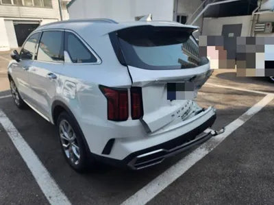 2021 Kia Sorento KNARL81BGMA107329 VIN:KNARL81BGMA107329